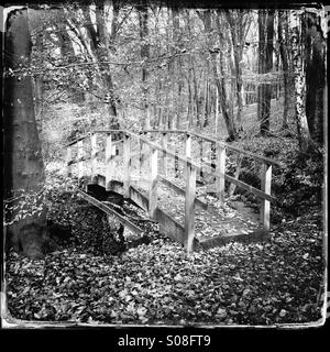 Herbstliche Landschaft im Park Sonsbeek Stockfoto