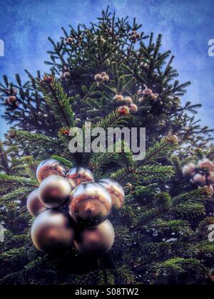 Kugeln am Weihnachtsbaum in Haigh Hall in Wigan Stockfoto