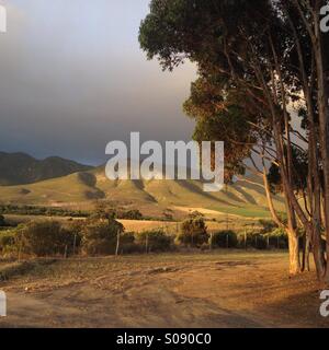 Goldener Sonnenuntergang, Stanford, Western Cape, Südafrika Stockfoto