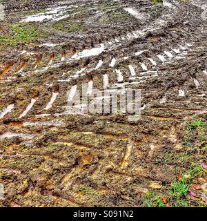 Traktor-Reifenspuren auf schlammigen Feld Stockfoto
