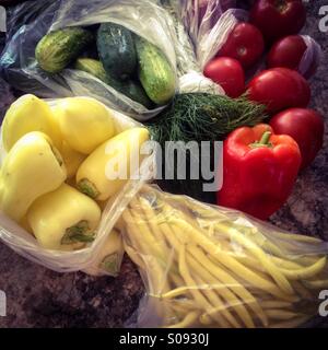 Auswahl von frischem Gemüse vom Bauernhof, wobei einige noch in Plastiktüten. Stockfoto