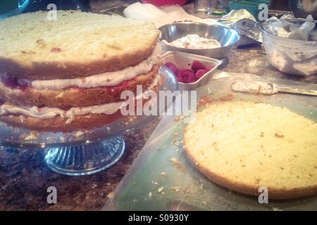 Kuchen-Assembly in Prozess: Vanille Biskuit wird geschichtet mit Himbeeren Schlagsahne Sahne und frische Himbeeren. Stockfoto