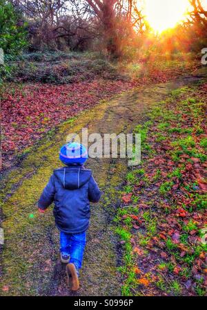 Ein kleiner Junge läuft in den Wald. Stockfoto