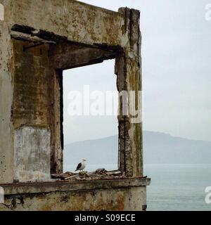 Eine einsame Möwe thront auf einem verfallenen Gebäude. Stockfoto