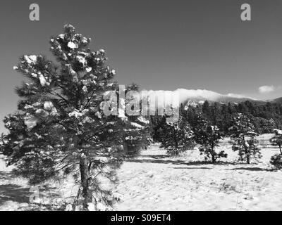 Schneebedeckte Wiese und Wolke gehüllt San Francisco Peaks in Flagstaff, Arizona, USA.  Schwarz / weiß Bild. Stockfoto