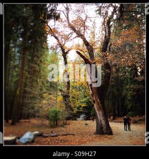 Touristen Fuß unterwegs zum Lower Yosemite Falls im Herbst. Yosemite Valley, Yosemite-Nationalpark, Mariposa County, Kalifornien, USA Stockfoto