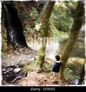 Ein sechs Jahre alter Junge sieht an einem Wasserfall auf Bean Creek. Santa Cruz County, California, USA Stockfoto