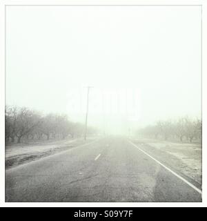 Nebliger Landstraße. San Joaquin Valley, Kalifornien, USA Stockfoto