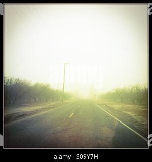 Nebliger Landstraße. San Joaquin Valley, Kalifornien, USA Stockfoto