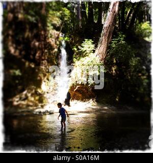 Ein sechs Jahre alter Junge herein Bean Creek in der Nähe eines Wasserfalls. Santa Cruz County, California, USA Stockfoto