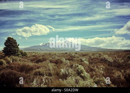 Mount Ruapehu im North Island, Neuseeland Stockfoto