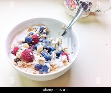 Leichtes Frühstück mit Müsli, Soja-Joghurt, Himbeeren und Heidelbeeren in Schüssel weiß Stockfoto