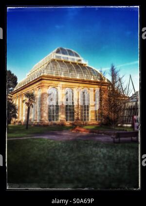 Viktorianische Palmenhaus Stockfoto