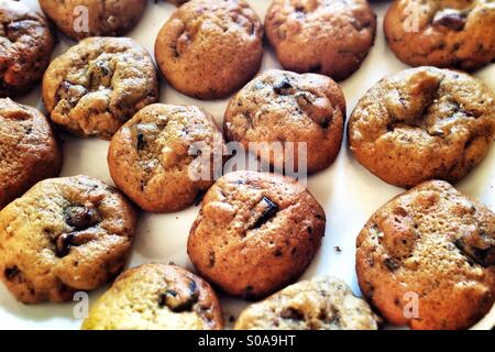 Schokoladenkekse auf weißen Teller. Stockfoto