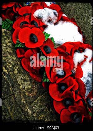 Mohn Kränze mit Schnee bedeckt Stockfoto