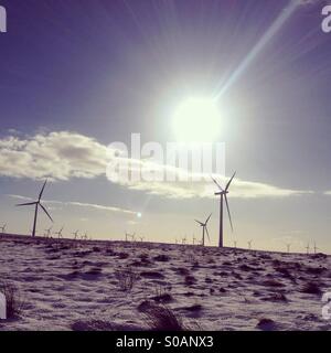 Whitelee Windpark im Schnee, Schottland Stockfoto