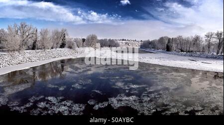 Bow River Panorama aus Calgary Friedensbrücke. Stockfoto