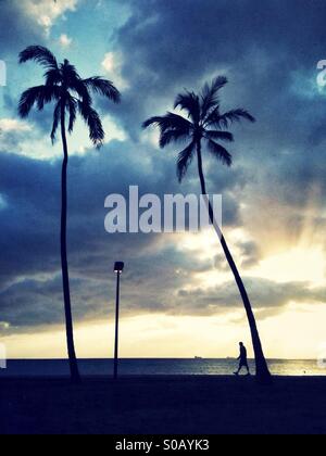 Silhouette von einem Mann zu Fuß, zwei Palmen und ein Lichtmast bei Sonnenuntergang auf Hawaii Stockfoto