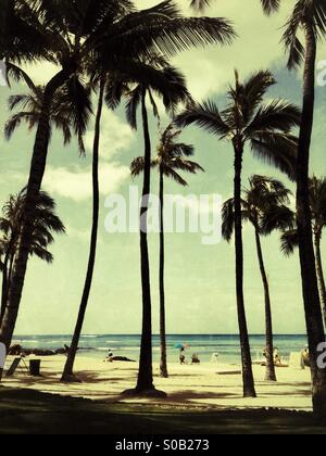 Vintage-Stil Foto von Waikiki Beach durch Palmen Stockfoto