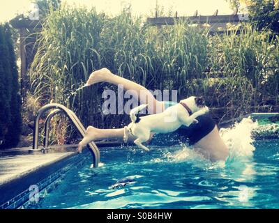 Hund und ihre menschlichen Tauchen in den Swimming Pool. Stockfoto