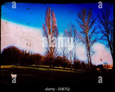 Churchfields Park, Egge auf den Hügel, North West London, England, Vereinigtes Königreich, Europa Stockfoto