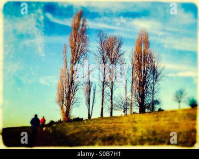 Bäume in Churchfields, Harrow-on-the-Hill, North West London, England, Vereinigtes Königreich, Europa Stockfoto