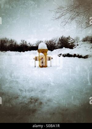 Einen gelben Hydranten im Schnee. Stockfoto