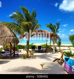 Isla Holbox, Quintana Roo, Mexiko Stockfoto