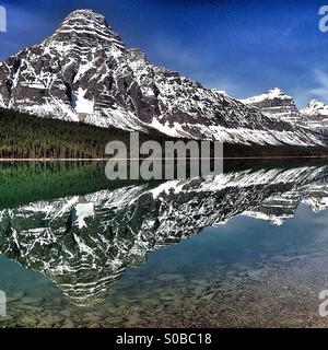 Mount Chephren widerspiegelt im Wasservögel See, entlang des Icefields Parkway im Banff National Park. Stockfoto