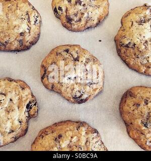 Warmen salzigen Chunk Cookies Stockfoto