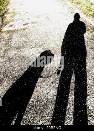 Schatten des Mannes Hund mit Leine spazieren gehen Stockfoto