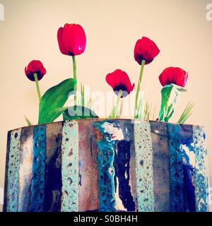 Fünf rote Tulpe in eine silberne vase Stockfoto