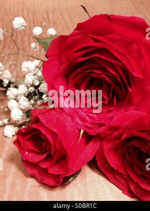 Drei rote Rosen mit Schleierkraut auf Goldgrund Stockfoto