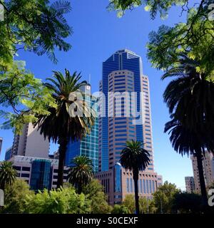 Melbourne-Stadtpark an einem sonnigen Sommertag Stockfoto
