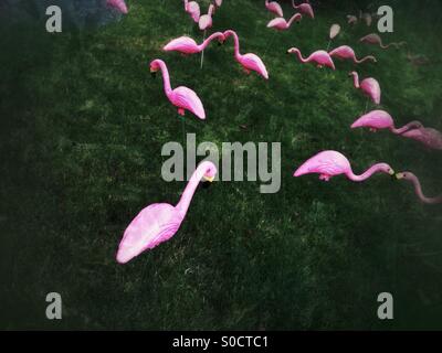 Kunststoff rosa Flamingos auf einer Wiese Stockfoto