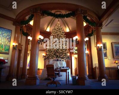 Ein Weihnachtsbaum im Eingangsbereich McHenry Museum. Modesto, Kalifornien, USA Stockfoto