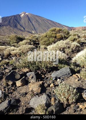 Vulkan El Teide auf Teneriffa Stockfoto