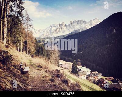 Panoramablick auf Latemar Berg und Welschnofen/Nova Levante, Trentino-Alto Adige, Italien Stockfoto