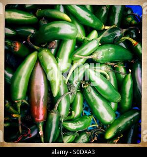 Bio Serrano grüne Chilischoten zu verkaufen in Foro Tianguis Alternativo, Colonia Roma, Mexiko-Stadt, Mexiko Stockfoto