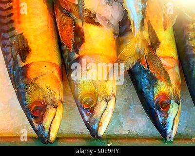 Fisch zum Verkauf in Chinatown Fischmarkt Stockfoto