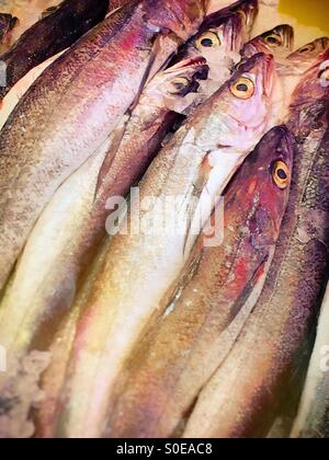 Fische zu verkaufen, Chinatown Fischmarkt Stockfoto