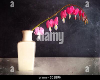 Eine Vase mit einem Zweig des blutenden Herzen Blumen. Stockfoto