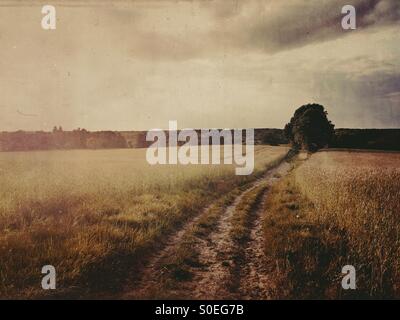 Im Feld Pfad Stockfoto