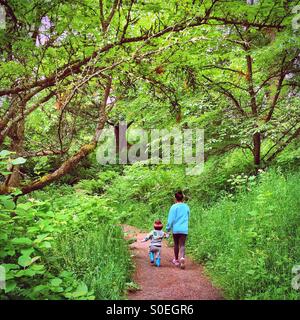 Mutter und Kind halten Hände bei einem Spaziergang durch den Wald. Stockfoto