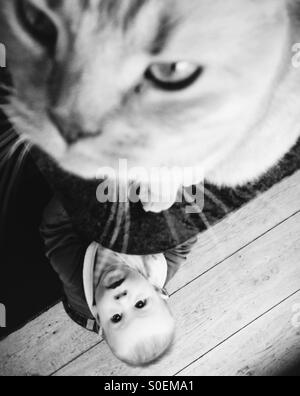 Baby Junge schaut Katze sitzt am Küchentisch Stockfoto