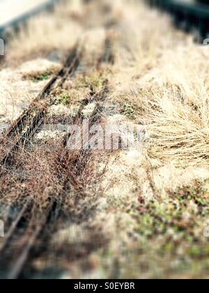 Verlassenen Eisenbahn verfolgt nirgends auf der High Line Park, New York City Stockfoto
