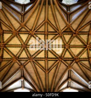 Decke von Tewkesbury abbey Stockfoto