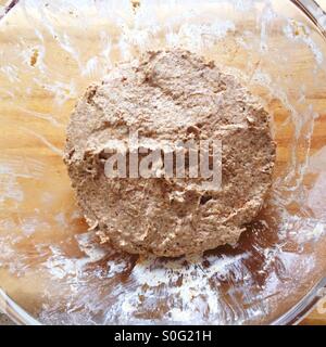 Roggen-Sauerteig-Starter im Glas Schüssel auf Licht farbig Holz Brett Stockfoto