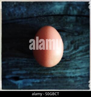Eine braune Ei Stockfoto