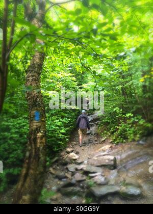 Menschen wandern auf Weg zu Sterling Teich, Schmugglern Notch, Stowe, Vermont Stockfoto